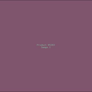 Example Product 5383