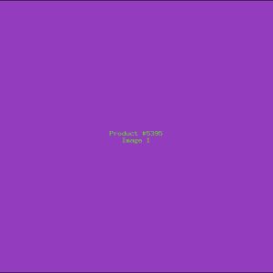 Example Product 5395