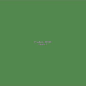 Example Product 5399