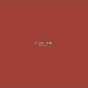 Example Product 5403