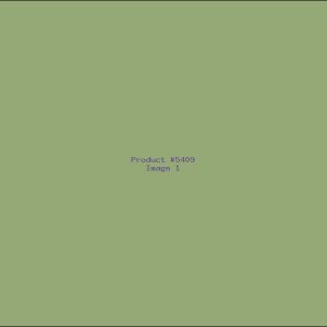 Example Product 5409