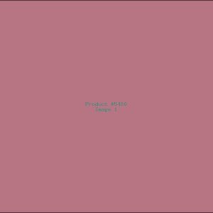 Example Product 5410