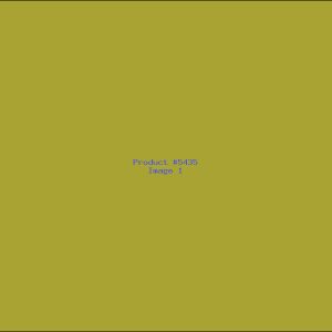 Example Product 5435