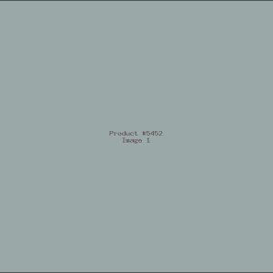 Example Product 5452