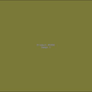 Example Product 5456