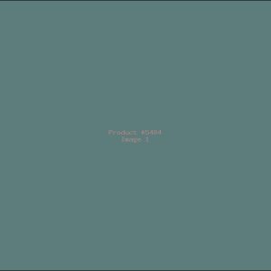 Example Product 5484