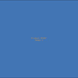 Example Product 5487