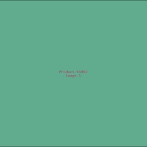 Example Product 5498