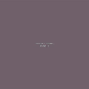 Example Product 5502