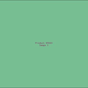 Example Product 5503