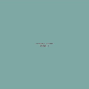 Example Product 5508