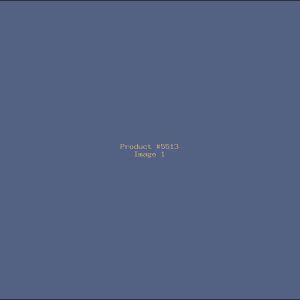 Example Product 5513