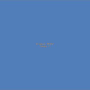 Example Product 5547