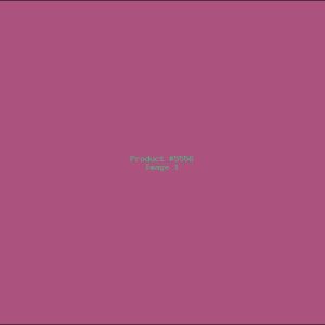 Example Product 5556