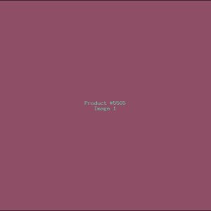 Example Product 5565