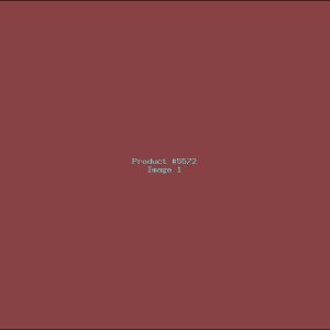 Example Product 5572