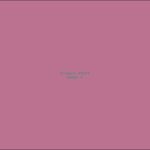 Example Product 5574