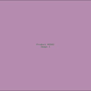 Example Product 5582