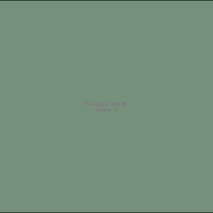 Example Product 5595