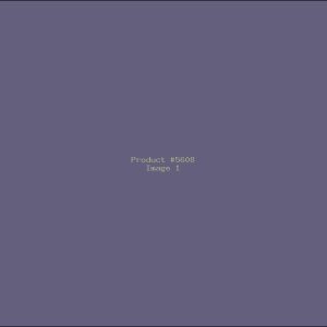 Example Product 5608