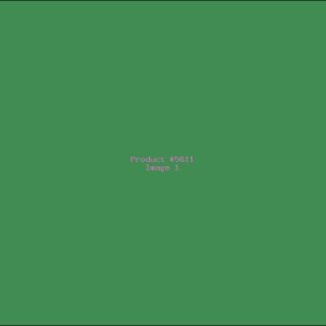 Example Product 5611