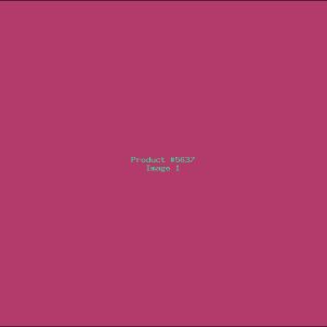 Example Product 5637