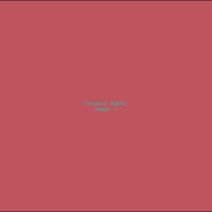 Example Product 5652