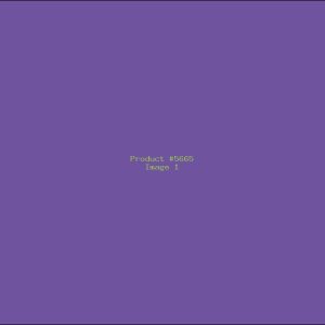 Example Product 5665