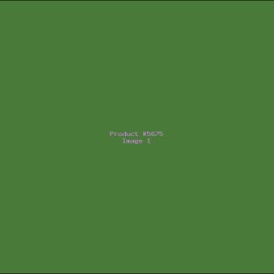 Example Product 5675