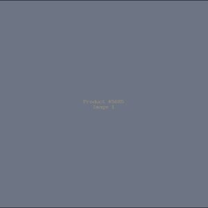 Example Product 5685