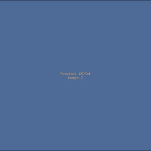 Example Product 5704