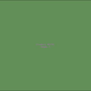 Example Product 5736