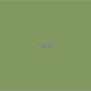 Example Product 5742