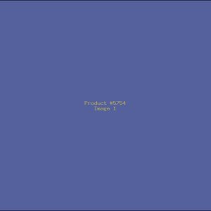 Example Product 5754