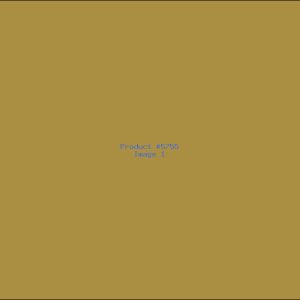 Example Product 5755