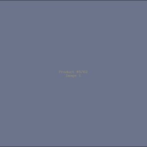 Example Product 5762