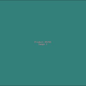 Example Product 5765