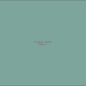 Example Product 5794