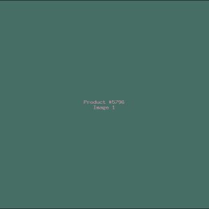 Example Product 5796