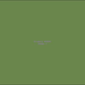 Example Product 5800