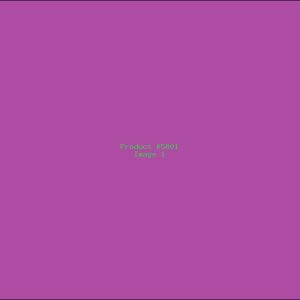 Example Product 5801