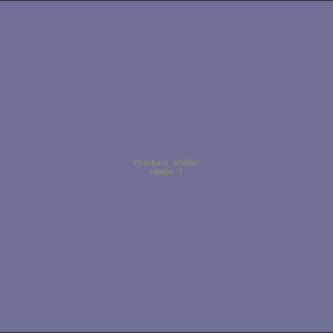 Example Product 5802