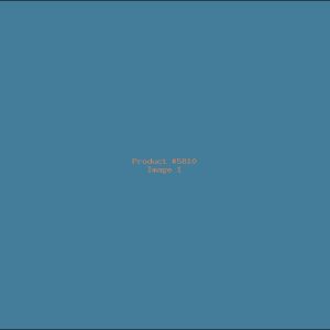 Example Product 5810