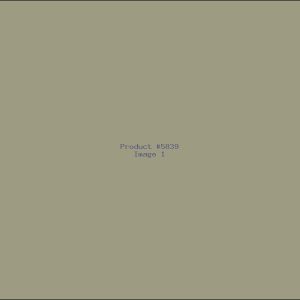 Example Product 5839