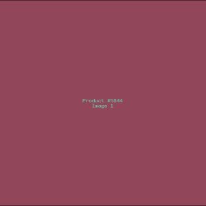 Example Product 5844