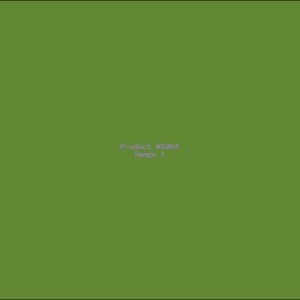 Example Product 5864