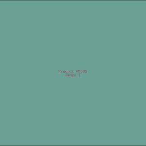 Example Product 5885