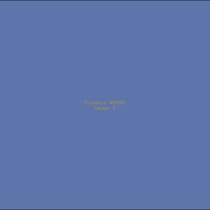 Example Product 5895