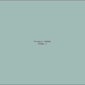 Example Product 5898