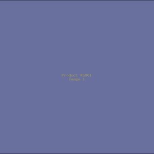 Example Product 5901